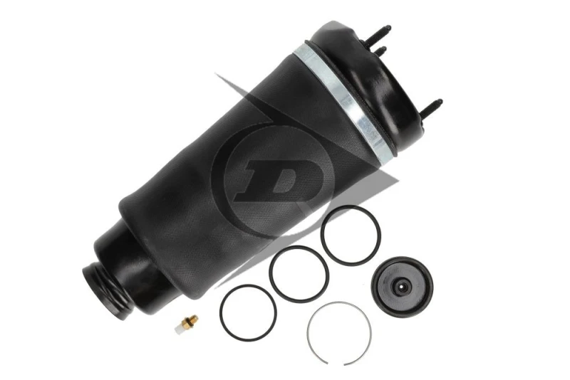 Image of Air suspension strut Dunlop Airsuspension 71224