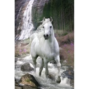 Image of Bob Langrish Waterfall Poster