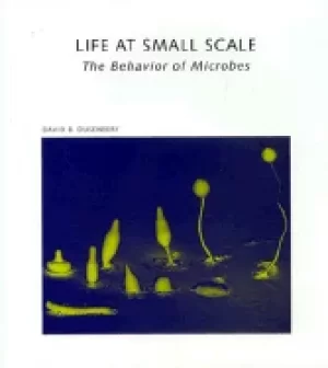 Image of life at small scale the behavior of microbes