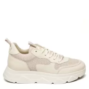 Image of Steve Madden Pitty Platform Trainers - White