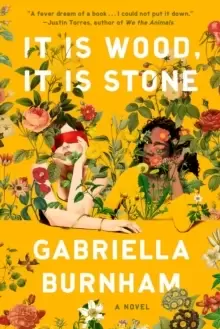 Image of It Is Wood, It Is Stone : A Novel