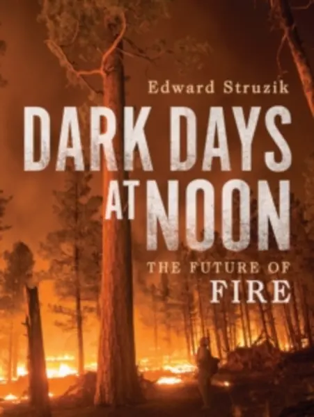 Image of Dark Days at Noon by Edward Struzik