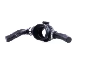 Image of RIDEX Intake Pipe, air filter CHEVROLET 1591I0076
