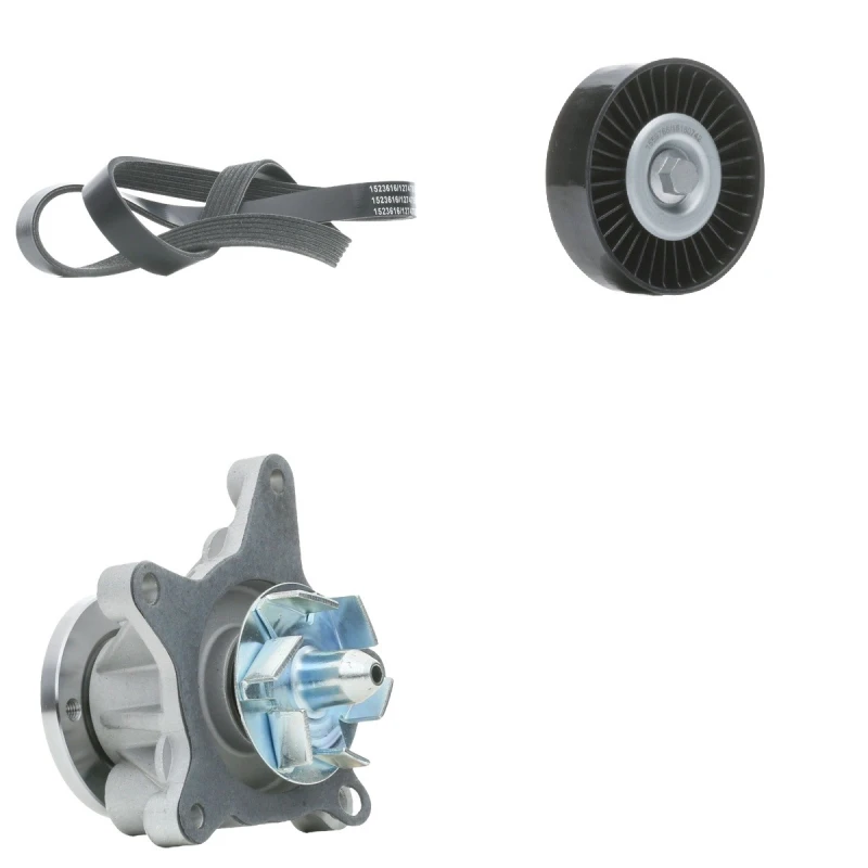Image of RIDEX 542R0601 V-ribbed belt set V-Ribbed Belt Set (542)