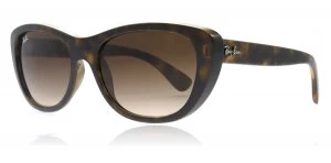 Ray-Ban RB4227 Sunglasses Tortoise 710/13 55mm