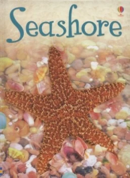 Image of Seashore by Lucy Beckett-Bowman and Patrizia Donaera and Tim Haggerty and Andy Horton and Alison Kelly Hardback