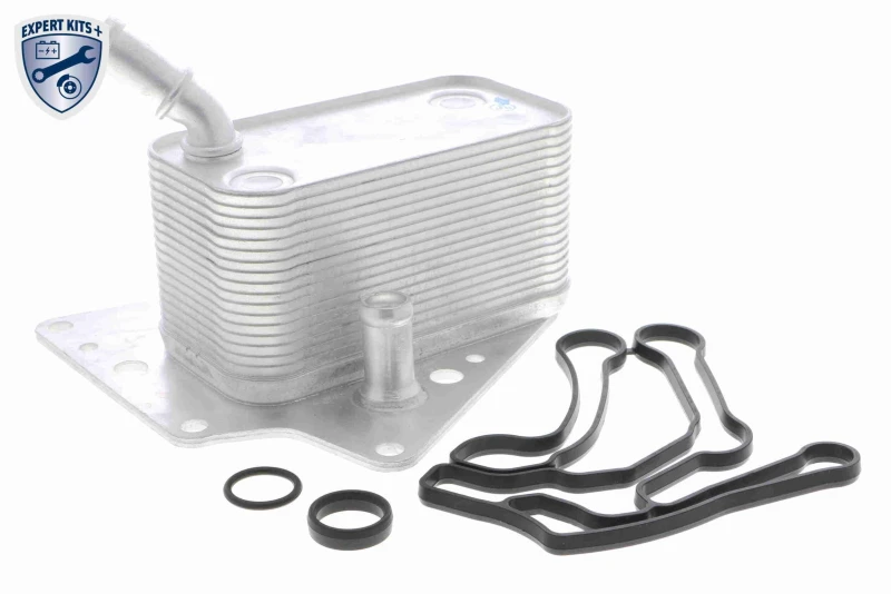 Image of Engine oil cooler VEMO V40-60-2101