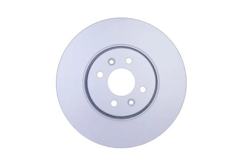 Image of HELLA Brake disc HELLA 8DD 355 113-061