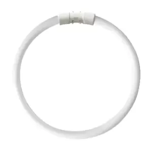 image of Kosnic 40w CFL T5 Circular Tube 2GX13 Cool White - KFT40STC/4P-840