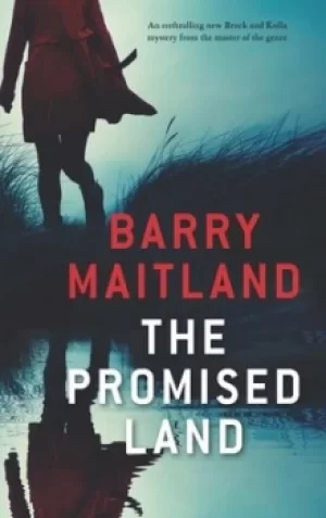 Image of The promised land by Barry Maitland