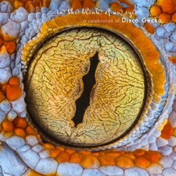 Image of Various Artists - In the Blink of an Eye CD