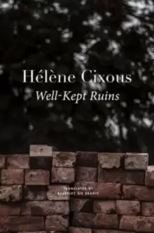 Image of Well-Kept Ruins