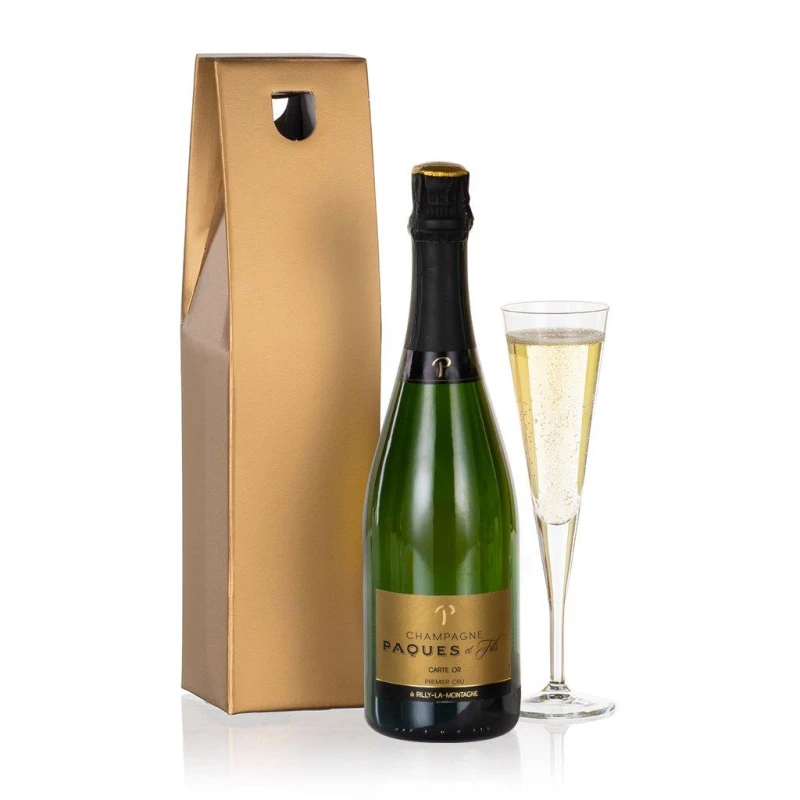 Image of Virginia Hayward Virgina Hayward Champagne Choice Multi unisex Small