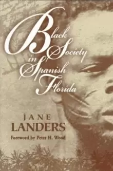Image of Black Society in Spanish Florida