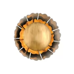Image of Magic Garden 1 Light Wall Sconce Black Graphite Bronze Leaf