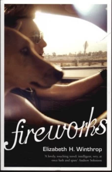 Image of Fireworks by Elizabeth H. Winthrop Paperback