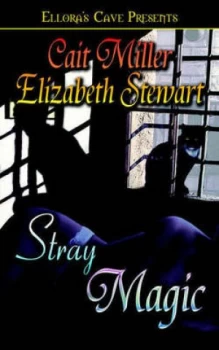 Image of Stray Magic by Elizabeth Stewart Paperback