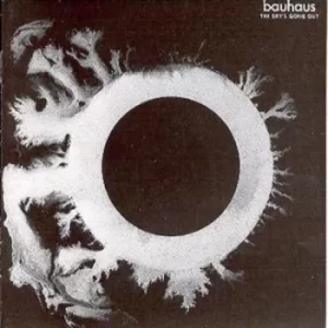 image of The Skys Gone Out by Bauhaus CD Album