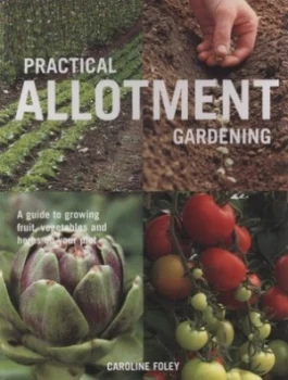 Image of Practical Allotment Gardening by Caroline Foley and Clive Nichols Paperback