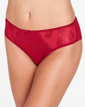 image of Panache Tango II Garnet Briefs