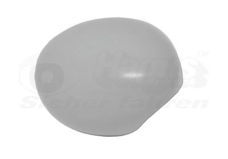 Image of VAN WEZEL Wing mirror cover VAN WEZEL 0518844