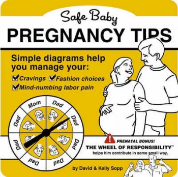 Image of Safe Baby Pregnancy Tips by David Sopp Paperback