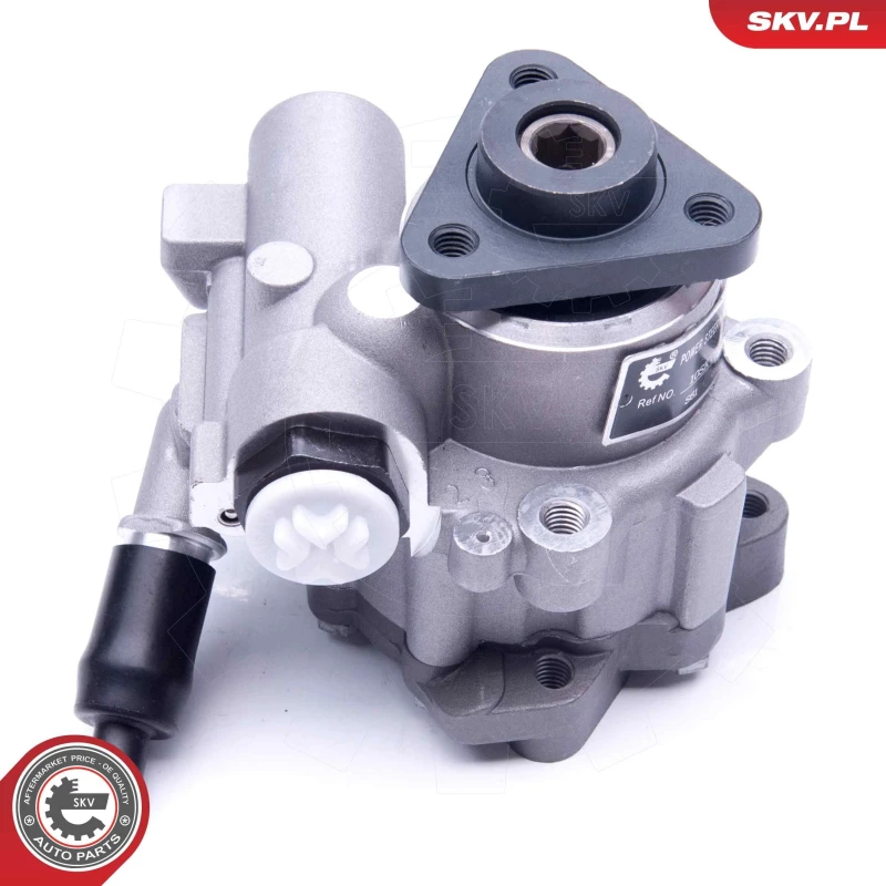 Image of ESEN SKV Power steering pump ESEN SKV 10SKV243