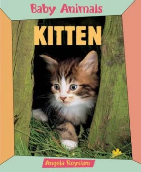 Image of Kitten by Angela Royston Book