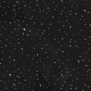 Image of Black Stone Diamond PVC Shower Wall Panel - 2400 x 1000mm