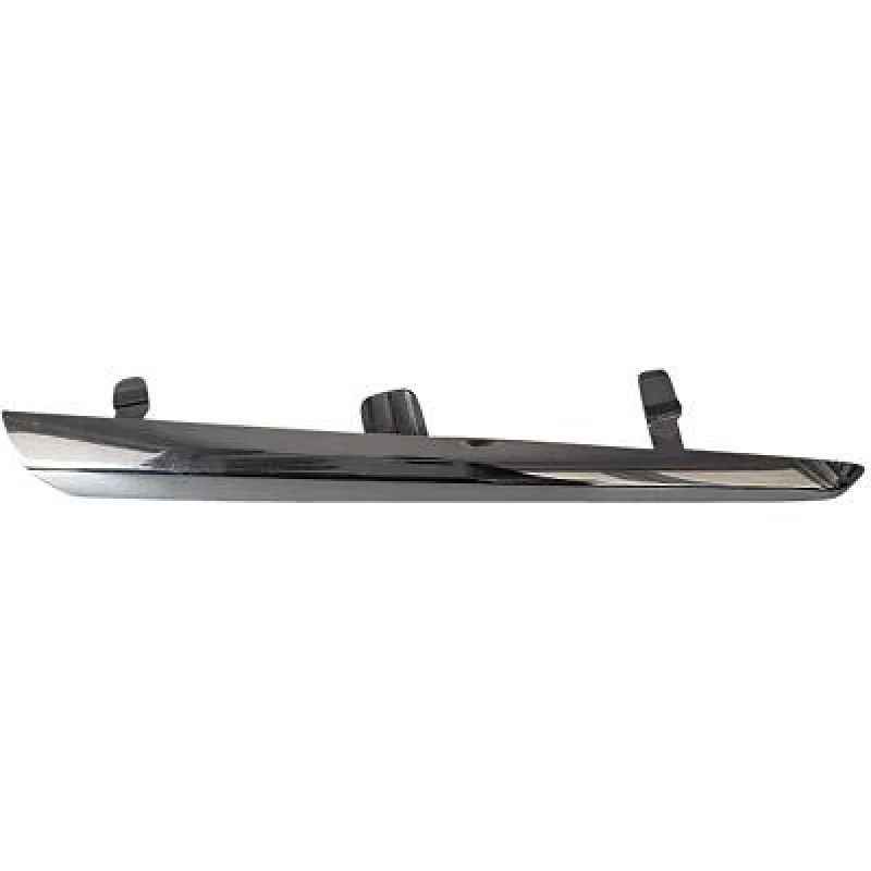 Image of Bumper moulding DIEDERICHS 6607334