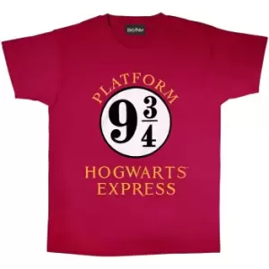 image of Harry Potter Mens Hogwarts Express T-Shirt (M) (Burgundy/White)