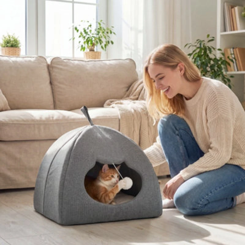 Image of Pawhut Cat Cave, Cat House With Removable Cushion For Indoor Kittens