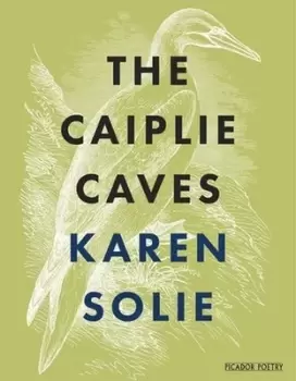 Image of The Caiplie caves by Karen Solie