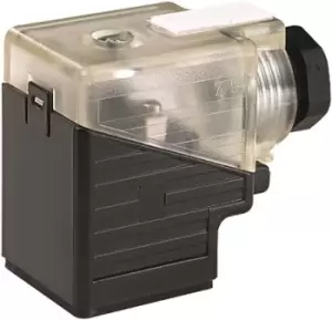 image of Murrelektronik Limited 2P+E DIN 43650 A, Male DIN 43650 Solenoid Connector, 110 V, 230 V ca/cc Voltage