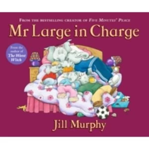 Image of Mr Large In Charge