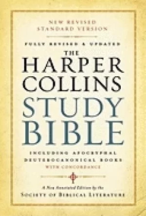 Image of harpercollins study bible nrsv