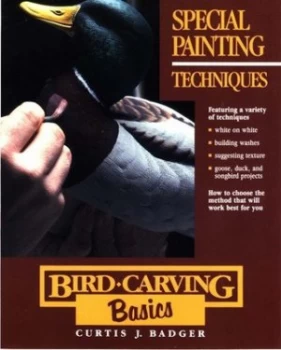 Image of Special Painting Techniques by Curtis J Badger Paperback