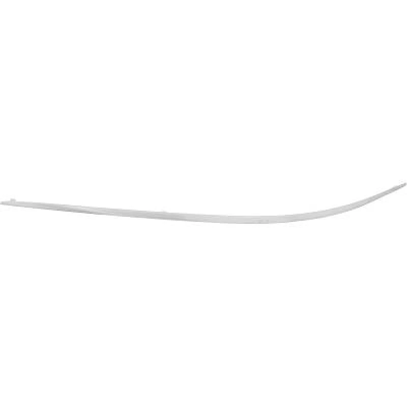 Image of Bumper moulding DIEDERICHS 1626065