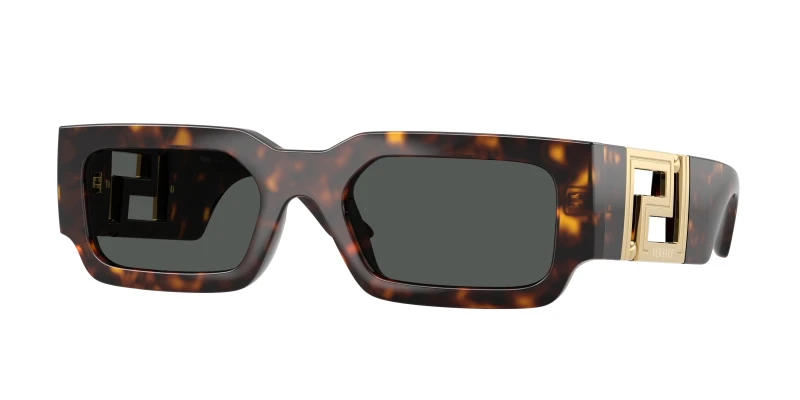 Image of Versace VE4506U 108/87 Man Sunglasses Injected Turtle Grey Squared Normal Turtle Sunglasses Man Injected