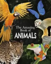 Image of The Amazing Book of Animals