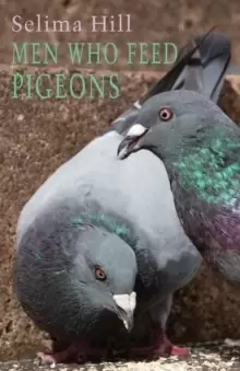 Image of Men Who Feed Pigeons