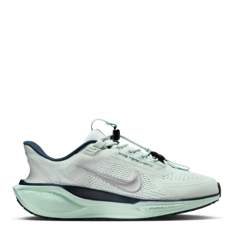 Image of Nike Pegasus EasyOn Road Running Shoes Womens Ghost Aqua/Silv female 5 (38.5)
