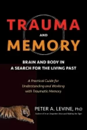 Image of trauma and memory brain and body in a search for the living past a practica