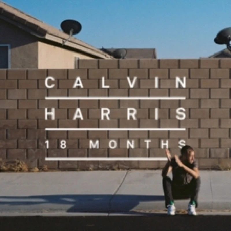 Image of 18 Months Vinyl