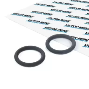Image of REINZ Intake Manifold Gasket 40-76246-00 Inlet Manifold Gasket,Gasket, intake manifold FORD,PEUGEOT,TOYOTA,Fiesta Mk6 Schragheck (JA8, JR8)