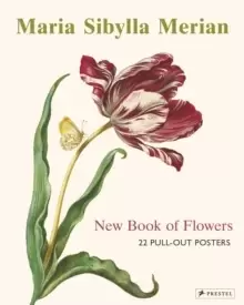Image of Maria Sibylla Merian : 22 Pull-Out Posters