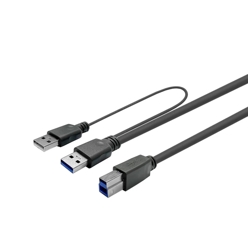 Image of Vivolink PROUSB3AB10C-DUAL USB cable