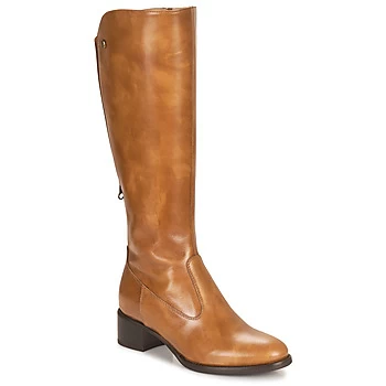 image of NeroGiardini - womens High Boots in Brown,4,5,6,6.5,2.5