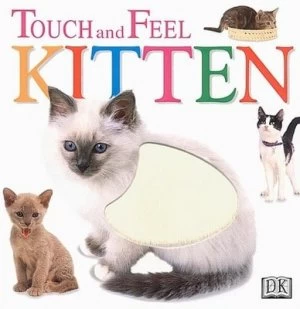 Image of Kitten Book