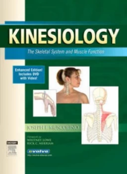 Image of Kinesiology by Joseph E Muscolino Paperback